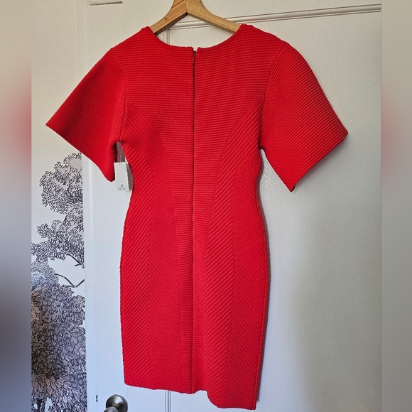 Herve Leger Bodycon Dress - Picture 2 of 3